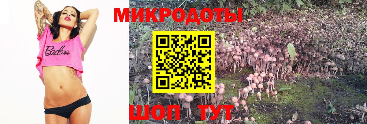 Галлюциногенные грибы мухоморы  Псилоцибиновые грибы MAGIC MUSHROOMS  Гусиноозёрск  Вход с VPN 
